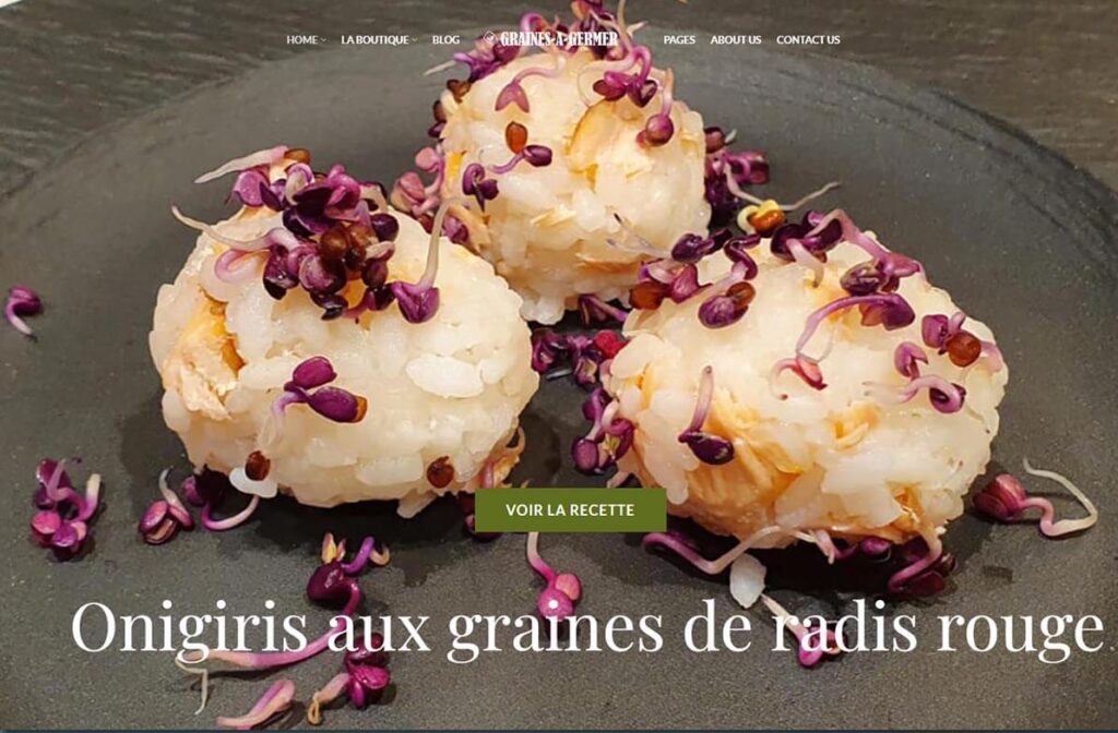 Printscreen du site Graines-a-germer.fr